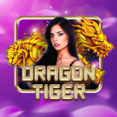 Dragon Tiger live casino phspin app apk casino